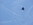 Tiefschneekurs, Bergführer, Oberstdorf, Allgäu, Alpine Zeiten, Bild 4