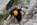 Geführter Klettersteig Tagestour Bergführer Alpinschule Allgäu Oberstdorf Alpine Zeiten Bild 4