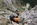 Geführter Klettersteig Tagestour Bergführer Alpinschule Allgäu Oberstdorf Alpine Zeiten Bild 11