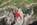 Geführter Klettersteig Tagestour Bergführer Alpinschule Allgäu Oberstdorf Alpine Zeiten Bild 7