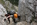 Geführter Klettersteig Tagestour Bergführer Alpinschule Allgäu Oberstdorf Alpine Zeiten Bild 10