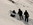 Lawinenkurs, Lawinenausbildung, Allgäu, Oberstdorf, Bergführer, Alpine Zeiten, Bild 3