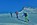 Geführte Skitouren, Allgäu, Oberstdorf, Bergführer, Alpine Zeiten, Bild 36