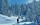 Schneeschuhwandern, Allgäu, Oberstdorf, Bergführer, Alpine Zeiten, Bild 28