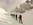 Geführte Skitouren, Allgäu, Oberstdorf, Bergführer, Alpine Zeiten, Bild 70