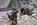 Geführtes Wandern Woche Bergführer Alpinschule Allgäu Oberstdorf Alpine Zeiten Bild 5