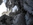 Geführte Klettersteige Woche Bergführer Alpinschule Allgäu Oberstdorf Alpine Zeiten Bild 9