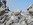 Geführte Klettersteige Woche Bergführer Alpinschule Allgäu Oberstdorf Alpine Zeiten Bild 10