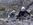 Geführte Klettersteige Woche Bergführer Alpinschule Allgäu Oberstdorf Alpine Zeiten Bild 16