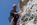 Geführtes Mehrseillängen Alpinklettern Bergführer Alpinschule Allgäu Oberstdorf Alpine Zeiten Bild 4