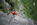 Geführtes Mehrseillängen Alpinklettern Bergführer Alpinschule Allgäu Oberstdorf Alpine Zeiten Bild 7