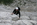 Geführtes Mehrseillängen Alpinklettern Bergführer Alpinschule Allgäu Oberstdorf Alpine Zeiten Bild 5