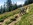 Geführtes Enduro Mountainbiken Wochenende Mountainbike Guide Schule Allgäu Oberstdorf Alpine Zeiten Bild 9