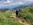 Geführtes Enduro Mountainbiken Wochenende Mountainbike Guide Schule Allgäu Oberstdorf Alpine Zeiten Bild 17