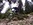 Geführtes Enduro Mountainbiken Tagestour Mountainbike Guide Schule Allgäu Oberstdorf Alpine Zeiten Bild 8