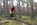 Geführtes Enduro Mountainbiken Tagestour Mountainbike Guide Schule Allgäu Oberstdorf Alpine Zeiten Bild 5