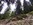 Geführtes Enduro Mountainbiken Tagestour Mountainbike Guide Schule Allgäu Oberstdorf Alpine Zeiten Bild 9