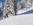 Geführte Skitouren, Allgäu, Oberstdorf, Bergführer, Alpine Zeiten, Bild 16