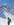 Geführte Skitouren, Allgäu, Oberstdorf, Bergführer, Alpine Zeiten, Bild 1