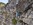 Geführter Klettersteig Tagestour Bergführer Alpinschule Allgäu Oberstdorf Alpine Zeiten Bild 23