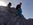 Geführte Klettersteige Wochenende Bergführer Alpinschule Allgäu Oberstdorf Alpine Zeiten Bild 22
