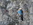 Geführte Klettersteige Wochenende Bergführer Alpinschule Allgäu Oberstdorf Alpine Zeiten Bild 5