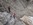 Geführter Klettersteig Tagestour Bergführer Alpinschule Allgäu Oberstdorf Alpine Zeiten Bild 22