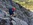 Geführter Klettersteig Tagestour Bergführer Alpinschule Allgäu Oberstdorf Alpine Zeiten Bild 30