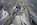 Geführter Klettersteig Tagestour Bergführer Alpinschule Allgäu Oberstdorf Alpine Zeiten Bild 1