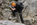 Geführter Klettersteig Tagestour Bergführer Alpinschule Allgäu Oberstdorf Alpine Zeiten Bild 8