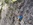 Geführte Klettersteige Wochenende Bergführer Alpinschule Allgäu Oberstdorf Alpine Zeiten Bild 46